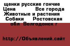 щенки русские гончие › Цена ­ 4 000 - Все города Животные и растения » Собаки   . Ростовская обл.,Волгодонск г.